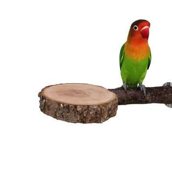 Natural Apple Tree Wood Pet Parrot Raw Wood Fork Tree Branch Stand Rack Катерица Птица Хамстер Клон Кацалки Дъвчете Играчки за хапки