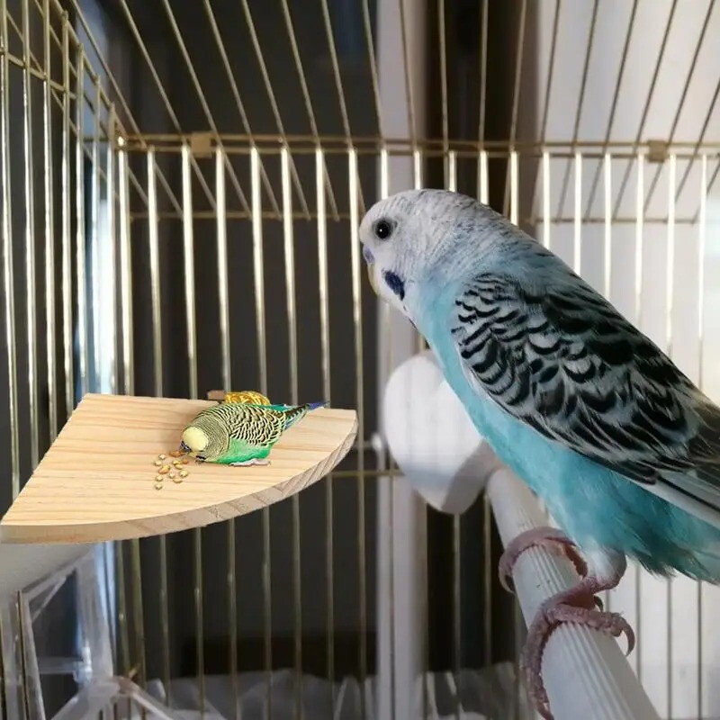 Vėduoklės formos papūgos medinis stovas paukščių narvų priedai Ešeriai mažiems gyvūnams šinšiloms voverėms žiurkėnų paukščiams