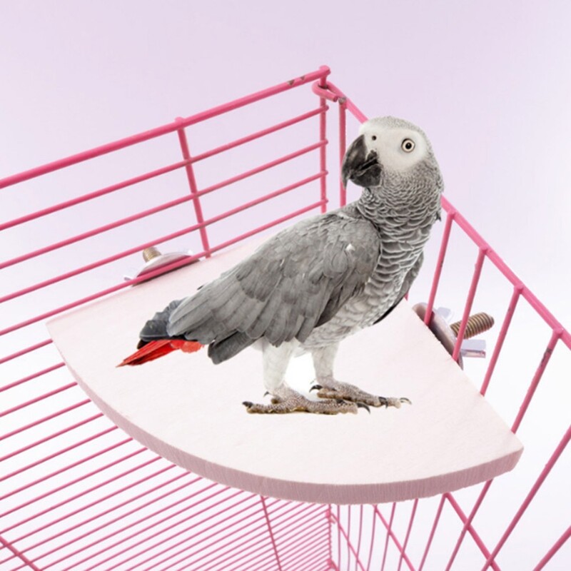 Drevený stojan na vtáčie papagáje v tvare vejára, stojan na vtáčie klietky, príslušenstvo do bidla pre malé zvieratá, činčily, veveričky, škrečky, stojan na dosku