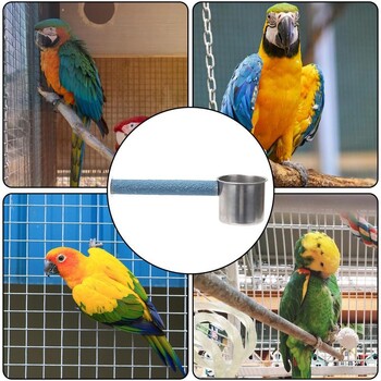 Bird Perches Πολύχρωμο Parrot Perch Stand Μεγάλη Πέρκα κλουβί πουλιών για παπαγάλους Ξύλινες κουρνιές πουλιών με ράμφος Grinding Stone Bird