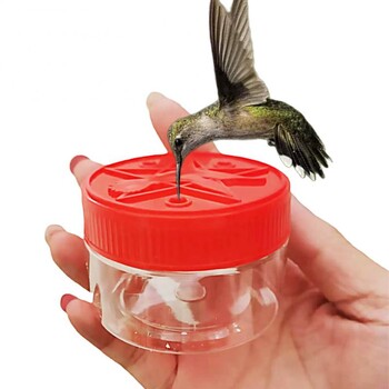 Bird Feeders Bird Food Container Hummingbird Drinker Creative Portable Garden Accessories Hand Feeder Outdoor Handheld Household