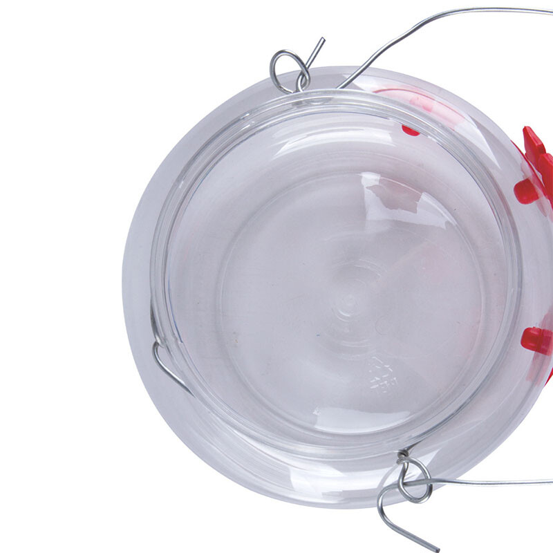 Paukščių vandens tiektuvas Pakabinamas kolibrio gėrimo butelis Plastikinis naminių paukščių gėrimo fontanas Lauko gėlių, geležies kablio maisto dozatorius