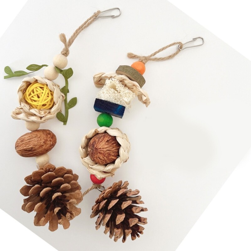 Igračka za žvakanje ptica Male loptice od štakora za žvakanje za činčile Zamorci Vjeverice Timothy Njega usne šupljine poboljšava zdravlje zuba