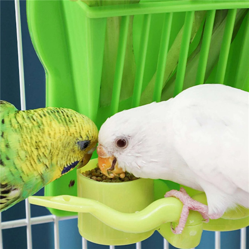 Naminių gyvūnėlių papūgos lesyklėlė Kabantis narvelis Vaisių ir daržovių talpyklos šėrimo puodelio stovo laikiklis Naminių gyvūnėlių narvelio priedai Reikmenys