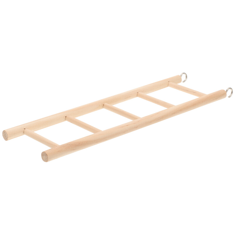 Papagailis Kāpnes Mazi Putni Rotaļlietas Papagailis Rotaļlaukums Kāmja Tilts Kāpšana Slīpēšanas Kāpnes