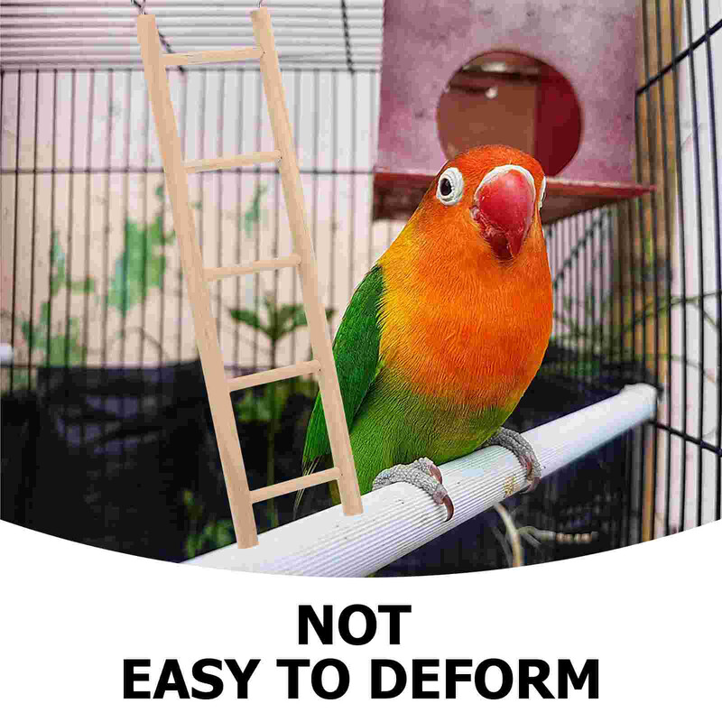 Papagailis Kāpnes Mazi Putni Rotaļlietas Papagailis Rotaļlaukums Kāmja Tilts Kāpšana Slīpēšanas Kāpnes