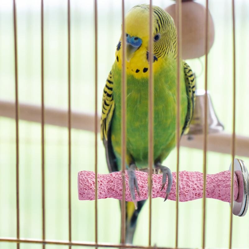 Bidlá do vtáčích klietok, vtáčie papagáje, vápnikové zuby, ústa, molárne brúsne kamene, prírodná palica, brúsenie labiek, drsná žuvacia hračka