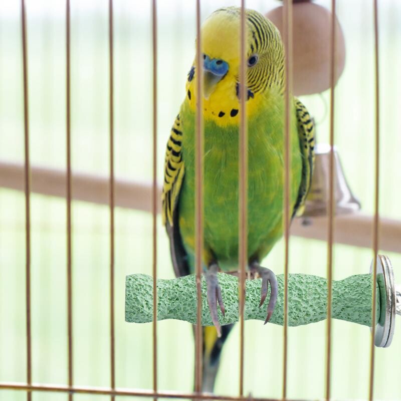 Bidlá do vtáčích klietok, vtáčie papagáje, vápnikové zuby, ústa, molárne brúsne kamene, prírodná palica, brúsenie labiek, drsná žuvacia hračka