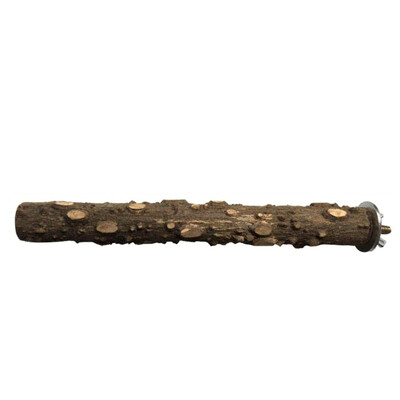 10/15/20 cm Μπάρα λείανσης με νύχι πουλιού Standing Stick Claw Bird Supplies Αξεσουάρ κλουβιού Parrot Station Grinding Standing