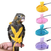 Harnaș zburător pentru papagal, costum de lesă, pasăre pentru animale de companie, frânghie pentru antrenament de zbor în aer liber, provizii pentru calopsițe, accesorii Macaw, lucruri pentru budgie