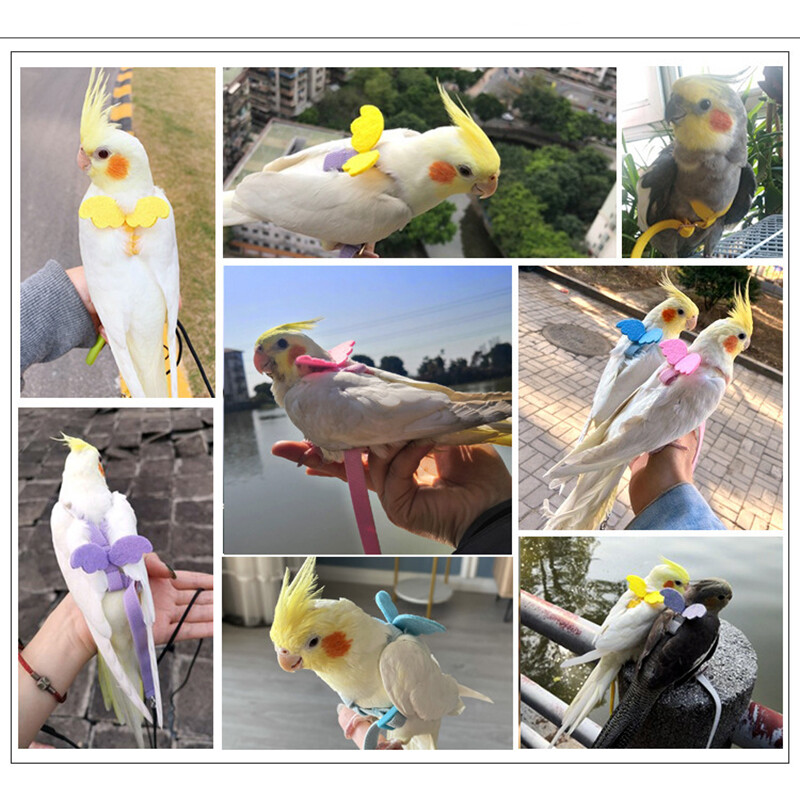 Harnaș zburător pentru papagal, costum de lesă, pasăre pentru animale de companie, frânghie pentru antrenament de zbor în aer liber, provizii pentru calopsițe, accesorii Macaw, lucruri pentru budgie