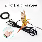 Kućni ljubimac, ptica, pojas za treniranje na otvorenom, konopac, lanac za ptičju nogu, papagaj, trake protiv vučne letenja, narukvica za ptičje noge, prsten za noge od legure