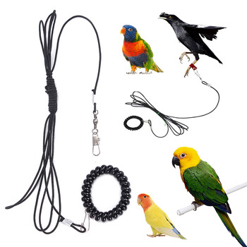 Pet Bird Outdoor Training λουριά Σχοινί Ποδαρική αλυσίδα πουλιών Παπαγάλος Αντιπετώντας ιμάντες έλξης Πόδια πουλιών Βραχιόλι κράμα ποδιού Δαχτυλίδι