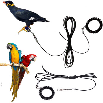 Pet Bird Outdoor Training λουριά Σχοινί Ποδαρική αλυσίδα πουλιών Παπαγάλος Αντιπετώντας ιμάντες έλξης Πόδια πουλιών Βραχιόλι κράμα ποδιού Δαχτυλίδι