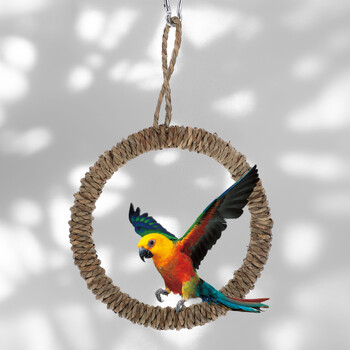 Bird Ring Swing Parrot Висяща играчка Декоративна кацалка за птици Забавна птица Swing Parrot Toy Клетка за птици Доставка