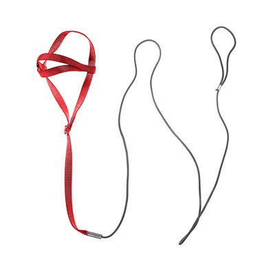 Papūgos paukščių diržas pavadėlis lauko veiklai Skraidymas traukos dirželiai Juostelė Skraidymas virvė mažiems papūgams Paprastieji paukščiai