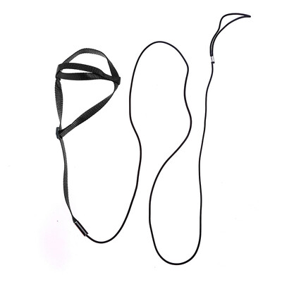 Papūgos paukščių diržas pavadėlis lauko veiklai Skraidymas traukos dirželiai Juostelė Skraidymas virvė mažiems papūgams Paprastieji paukščiai