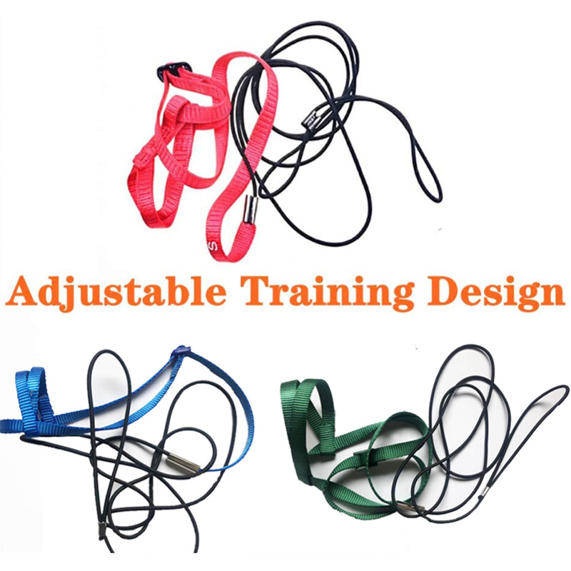 Papūgos paukščių diržas pavadėlis lauko veiklai Skraidymas traukos dirželiai Juostelė Skraidymas virvė mažiems papūgams Paprastieji paukščiai