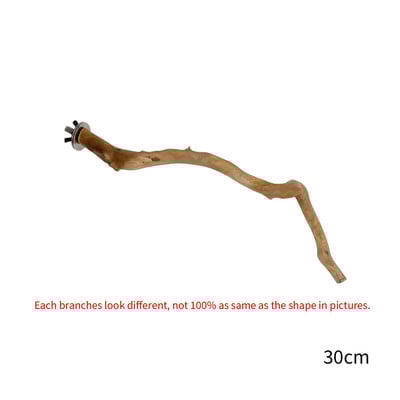 Prirodni papiga grgeč Stalak za ptice Drvo Štap Šapa Vilica za mljevenje Papagaj Ptica koja se penje Grane Igračke Dodaci za kavez za ptice