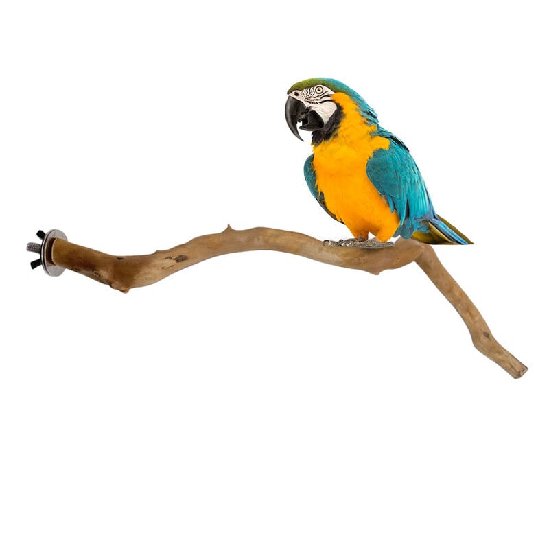 Prirodni papiga grgeč Stalak za ptice Drvo Štap Šapa Vilica za mljevenje Papagaj Ptica koja se penje Grane Igračke Dodaci za kavez za ptice