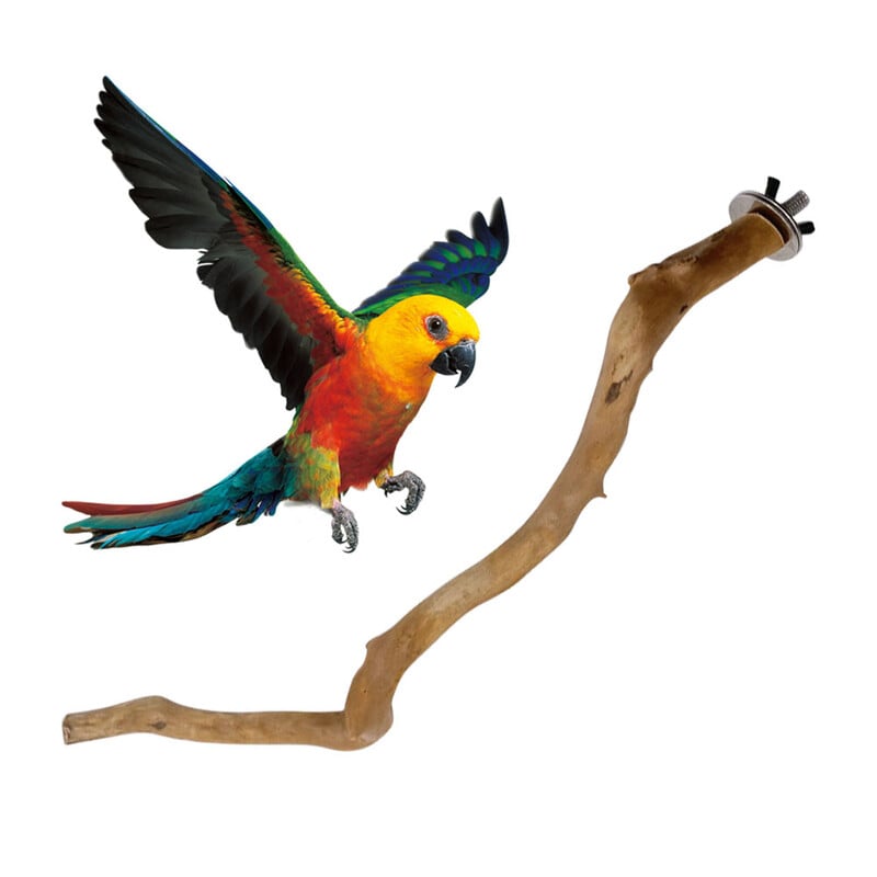 Prirodni papiga grgeč Stalak za ptice Drvo Štap Šapa Vilica za mljevenje Papagaj Ptica koja se penje Grane Igračke Dodaci za kavez za ptice