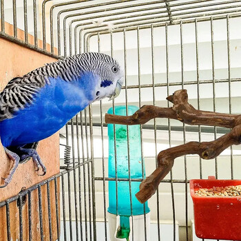 Pet Standing Stick Wild Grape Wood Pole Parrot Cockatiel Parakeet Station Board Bite Claw Grinding Toy Bird Cage Accessories