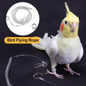 Αλυσίδα ποδιών πουλιού Parrot Anti-flying Traction Rope Βραχιόλι Πόδια Πουλί από κράμα Δαχτυλίδι ποδιών Pet Bird Flying Travel Training Leash