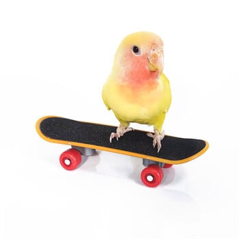 Parrot Scooter πολλαπλών μοτίβων παιωνία Parrot Hamster Small Pet Training Puzzle Skateboard Παιχνίδια για κατοικίδια Διαδραστικά κατοικίδια