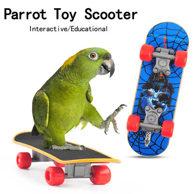 Parrot Scooter Multi-pattern Божур Папагал Хамстер Малък домашен любимец Обучение Пъзел Скейтборд Играчки за домашни любимци Интерактивни консумативи за домашни любимци