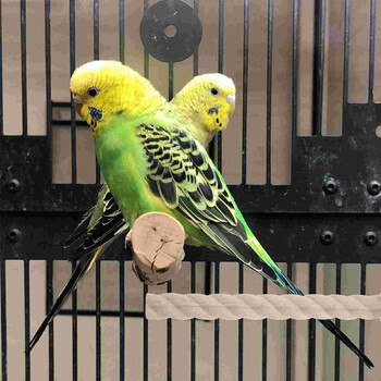 Parrot Stand Parakeet Ξύλινη Πέρκα Bird Standing Rod Παπαγάλος Grinding Claw Stick