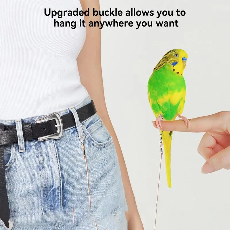 Papūgos paukščių skraidinimo treniruoklis pavadėlis, skraidantis lynas, grandinės dydis, 6 pėdų žiedas, žiedas lauko paukščių reikmenys