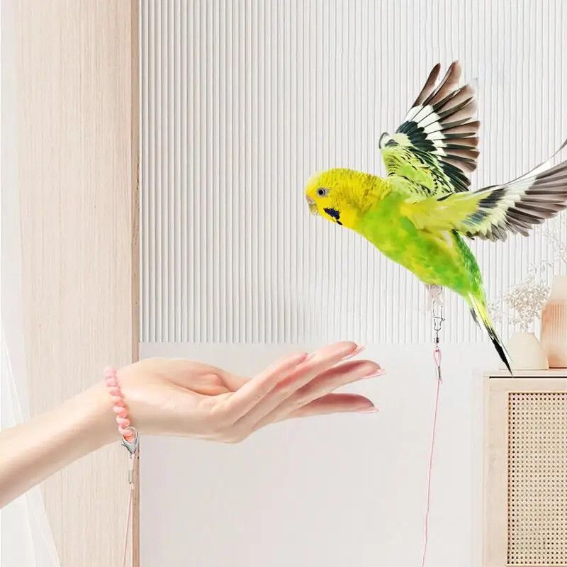 Papūgos paukščių skraidinimo treniruoklis pavadėlis, skraidantis lynas, grandinės dydis, 6 pėdų žiedas, žiedas lauko paukščių reikmenys