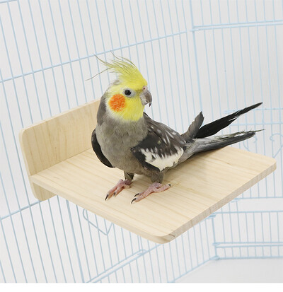 Puno drvo igračka za ptice platforma za odmor stalak za papige pribor za ptice za kućne ljubimce igračka za papige užad za ptice mali pribor za ptice za kućne ljubimce