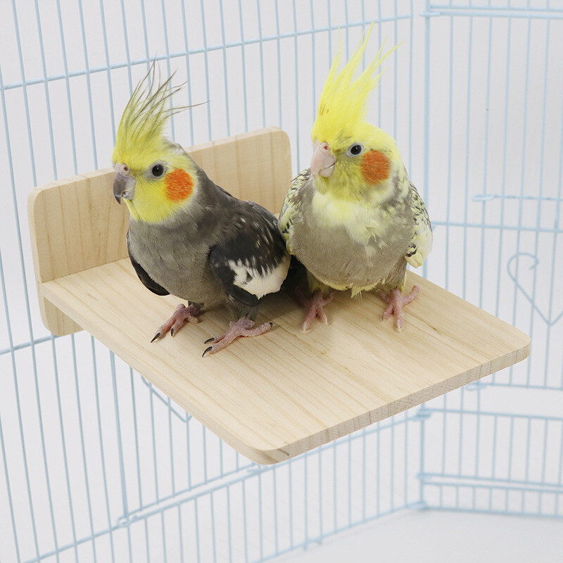 Puno drvo igračka za ptice platforma za odmor stalak za papige pribor za ptice za kućne ljubimce igračka za papige užad za ptice mali pribor za ptice za kućne ljubimce