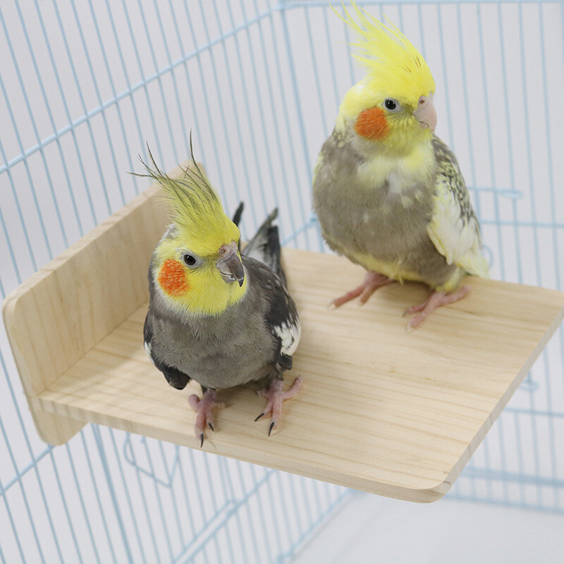 Puno drvo igračka za ptice platforma za odmor stalak za papige pribor za ptice za kućne ljubimce igračka za papige užad za ptice mali pribor za ptice za kućne ljubimce