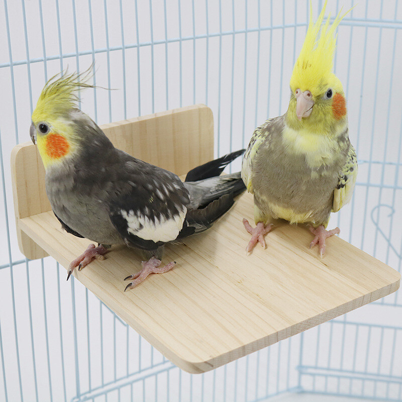 Puno drvo igračka za ptice platforma za odmor stalak za papige pribor za ptice za kućne ljubimce igračka za papige užad za ptice mali pribor za ptice za kućne ljubimce