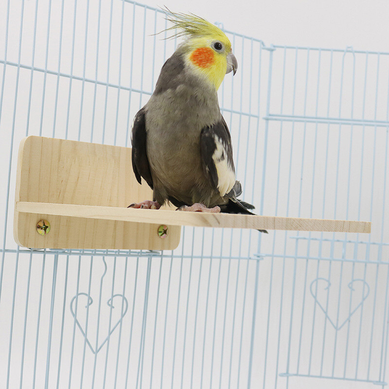 Puno drvo igračka za ptice platforma za odmor stalak za papige pribor za ptice za kućne ljubimce igračka za papige užad za ptice mali pribor za ptice za kućne ljubimce