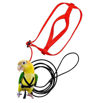 Εκπαίδευση Flying Traction Rope Anti-Bite Training Rope Bird Leash Parrot Flying Rope Parrot Harness Bird Harness Leash