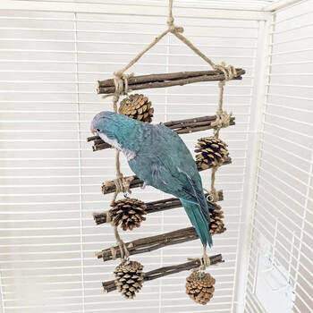 Parrot Stand Swing Αναρριχητική Σκάλα με Κρεμαστό Μασητικό Παιχνίδι Ξύλινη Βάση Πέρκας για Macaw Parakeet Cockatiel Bird Supplies