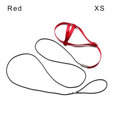 Pretkodienu siksnas siksnas komplekts Papagaiļu iejūga neilona virve Regulējama lidošanas apmācības dizains Piemērots Parrot Conures Bird