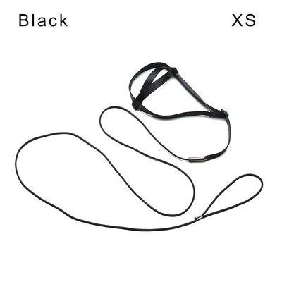 Pretkodienu siksnas siksnas komplekts Papagaiļu iejūga neilona virve Regulējama lidošanas apmācības dizains Piemērots Parrot Conures Bird