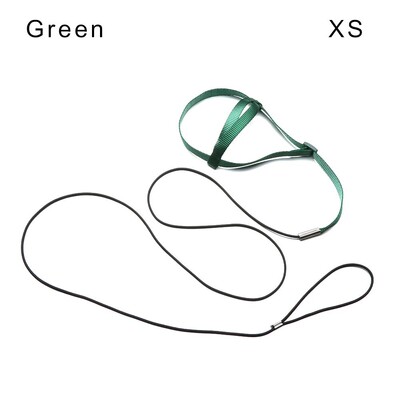 Pretkodienu siksnas siksnas komplekts Papagaiļu iejūga neilona virve Regulējama lidošanas apmācības dizains Piemērots Parrot Conures Bird