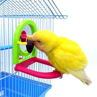 Paukščių veidrodiniai žaislai su irklentėmis ir ešeriu, skirtu Arrot Budgies Parakeet Lovebirds narvelio lesyklėlės papūgos 1 dalis priedai