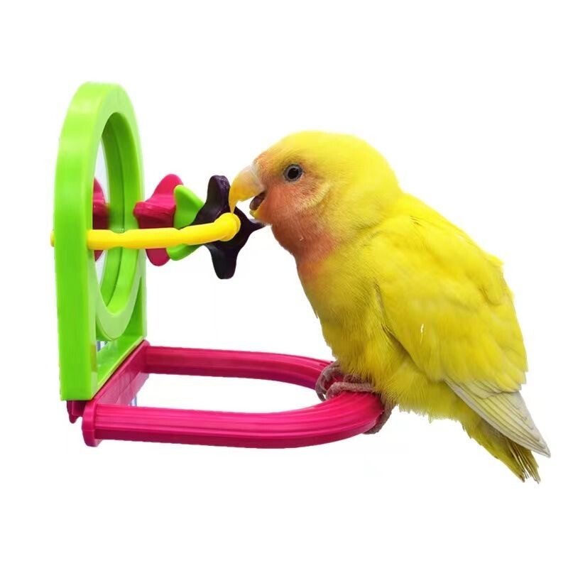 Παιχνίδια με καθρέφτη πουλιών με ρόδες κουπιών και πέρκα για Arrot Budgies Parakeet Lovebirds Cage Feeder Parrots 1 τεμάχιο αξεσουάρ