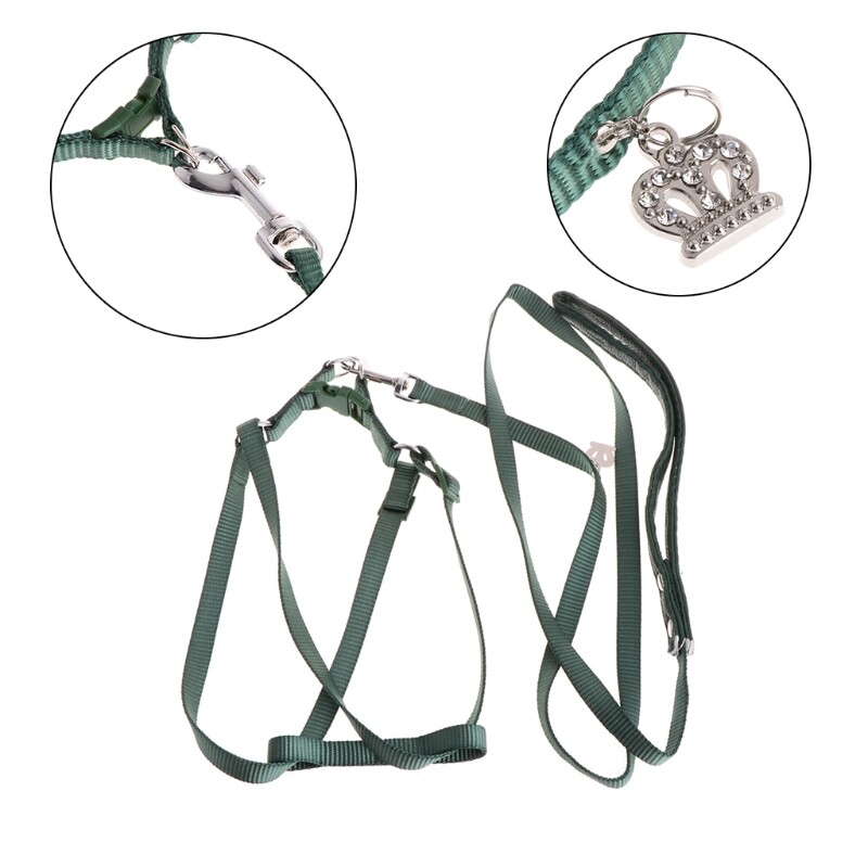 Iejūga siksna mājdzīvnieku papagaiļu drošības apmācībai ērtai kontrolei