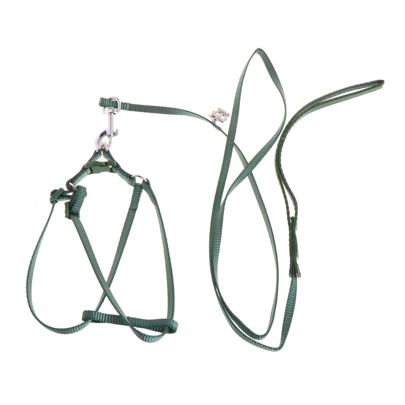 Iejūga siksna mājdzīvnieku papagaiļu drošības apmācībai ērtai kontrolei