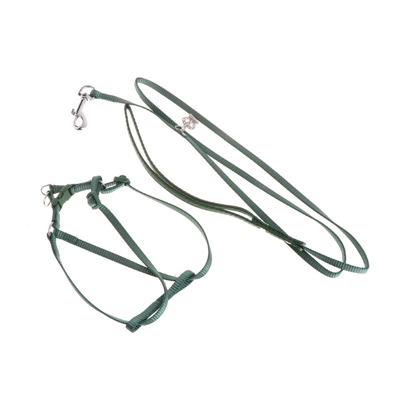 Iejūga siksna mājdzīvnieku papagaiļu drošības apmācībai ērtai kontrolei