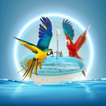 Intelligent Bird Bath Bowl Parrots Bathtub Bath Bath Shower Cage Access for Bird