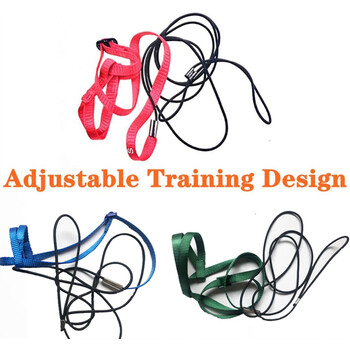 Εκπαίδευση Flying Traction Rope Anti-Bite Training Rope Bird Leash Parrot Flying Rope Parrot Harness Bird Harness Leash