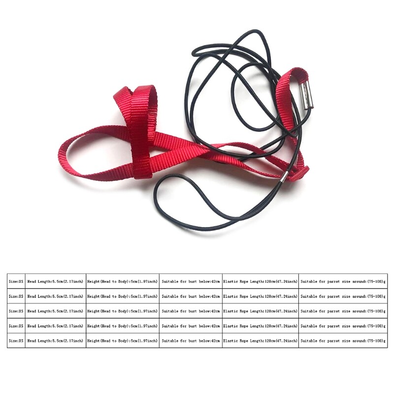 Papagaiļa putnu siksnas siksnas brīvā dabā, lidojošas vilces siksnas, regulējama pret sakodienu treniņu virve